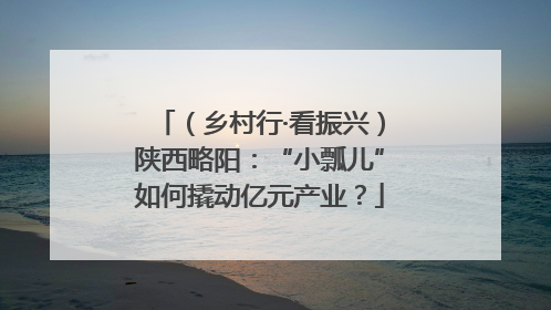 （乡村行·看振兴）陕西略阳：“小瓢儿”如何撬动亿元产业？
