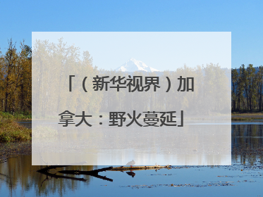 （新华视界）加拿大：野火蔓延