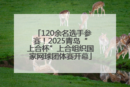 120余名选手参赛！2025青岛“上合杯”上合组织国家网球团体赛开幕