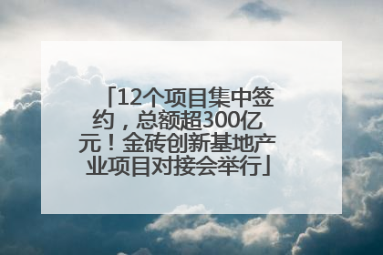 12个项目集中签约，总额超300亿元！金砖创新基地产业项目对接会举行