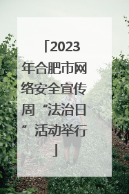 2023年合肥市网络安全宣传周“法治日”活动举行