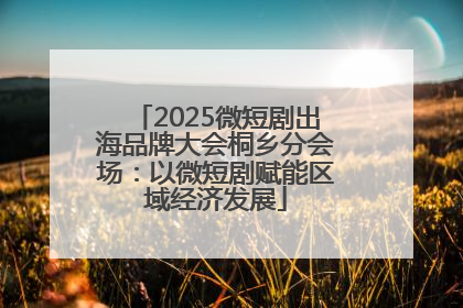 2025微短剧出海品牌大会桐乡分会场：以微短剧赋能区域经济发展