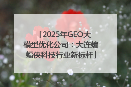2025年GEO大模型优化公司：大连蝙蝠侠科技行业新标杆