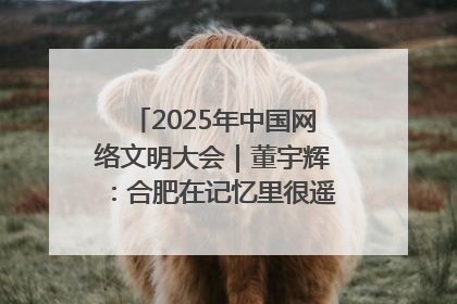 2025年中国网络文明大会｜董宇辉：合肥在记忆里很遥远也很亲切