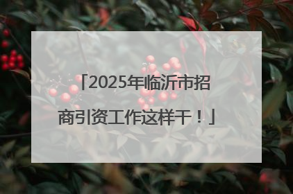2025年临沂市招商引资工作这样干！