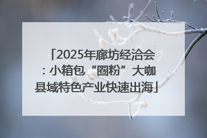 2025年廊坊经洽会：小箱包“圈粉”大咖 县域特色产业快速出海