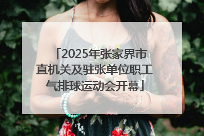 2025年张家界市直机关及驻张单位职工气排球运动会开幕