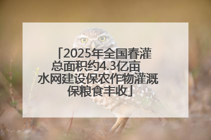 2025年全国春灌总面积约4.3亿亩 水网建设保农作物灌溉 保粮食丰收