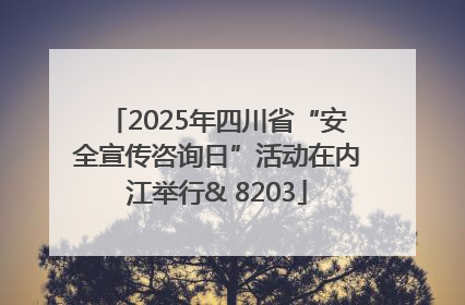 2025年四川省“安全宣传咨询日”活动在内江举行& 8203