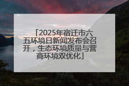 2025年宿迁市六五环境日新闻发布会召开，生态环境质量与营商环境双优化