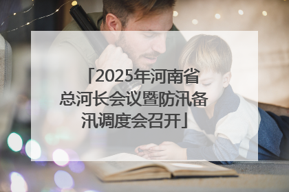 2025年河南省总河长会议暨防汛备汛调度会召开