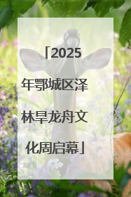 2025年鄂城区泽林旱龙舟文化周启幕