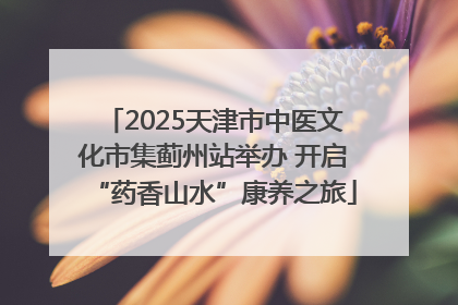 2025天津市中医文化市集蓟州站举办 开启“药香山水”康养之旅