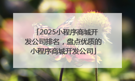 2025小程序商城开发公司排名，盘点优质的小程序商城开发公司