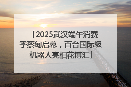 2025武汉端午消费季蔡甸启幕，百台国际级机器人亮相花博汇