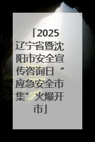 2025辽宁省暨沈阳市安全宣传咨询日“应急安全市集”火爆开市