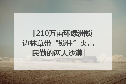 210万亩环绿洲锁边林草带“锁住”夹击民勤的两大沙漠