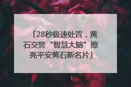 28秒极速处置，黄石交警“智慧大脑”擦亮平安黄石新名片