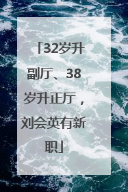 32岁升副厅、38岁升正厅，刘会英有新职