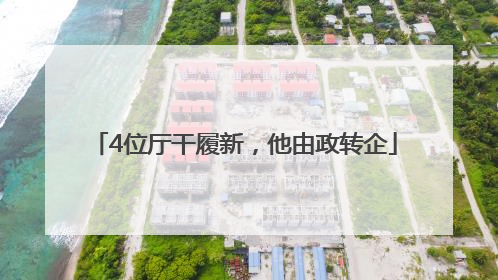 4位厅干履新，他由政转企