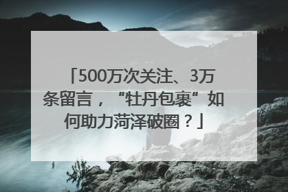 500万次关注、3万条留言，“牡丹包裹”如何助力菏泽破圈？