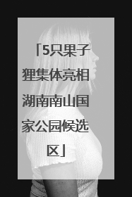 5只果子狸集体亮相湖南南山国家公园候选区