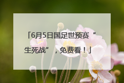 6月5日国足世预赛“生死战”，免费看！