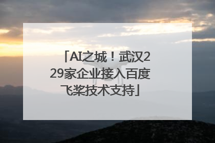 AI之城！武汉229家企业接入百度飞桨技术支持