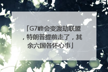 G7峰会变渡劫联盟，特朗普提前走了，其余六国各怀心事