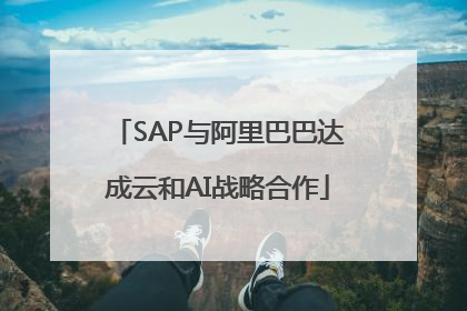 SAP与阿里巴巴达成云和AI战略合作
